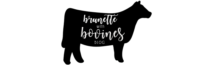 Brunette with Bovines