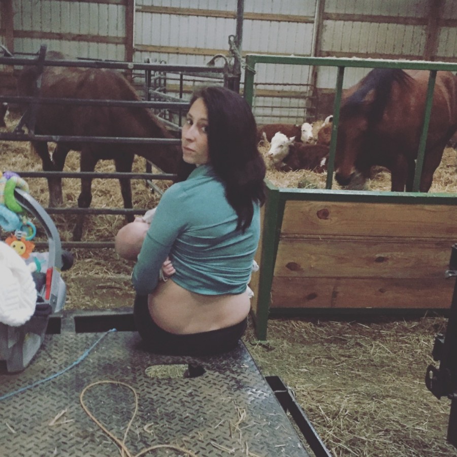 Feeding Time on the Farm